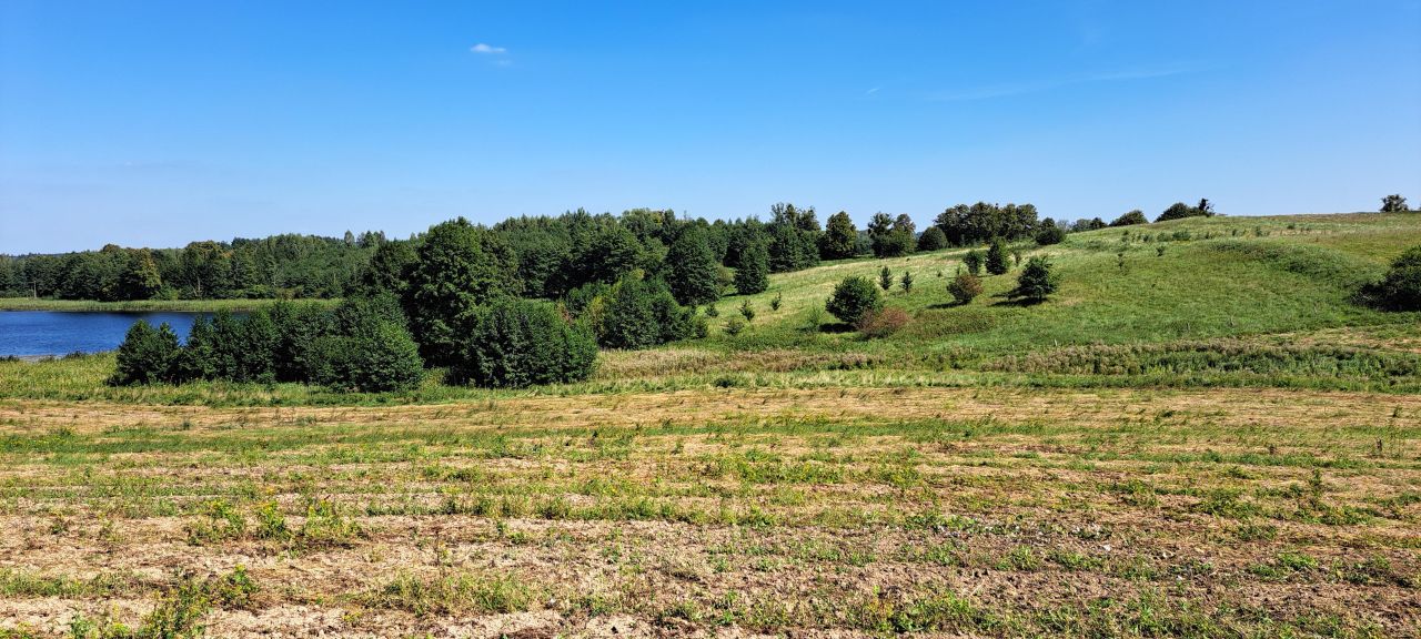 Działka rolna Cerkiewnik. Zdjęcie 16