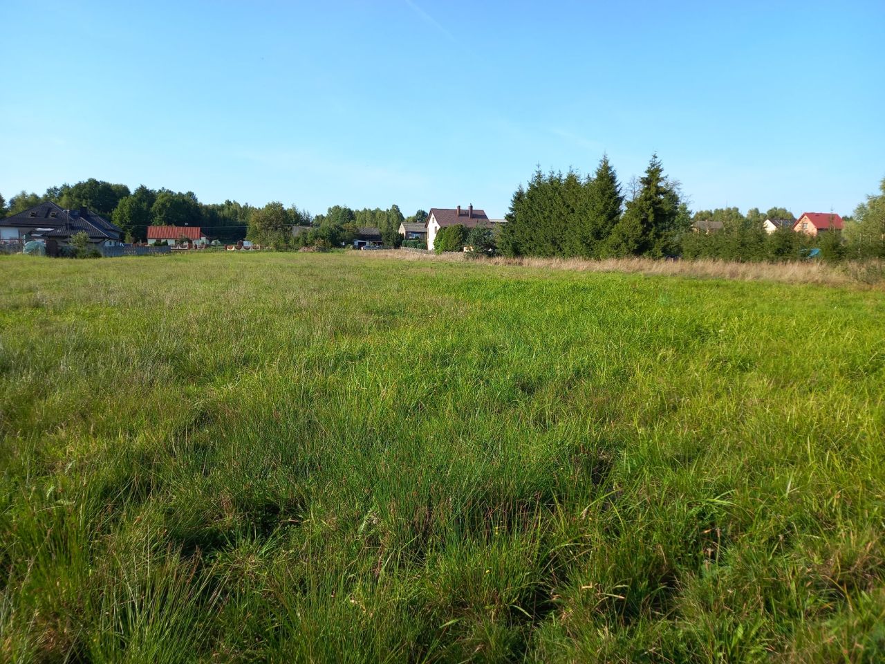 Działka rolno-budowlana Rogowice. Zdjęcie 3