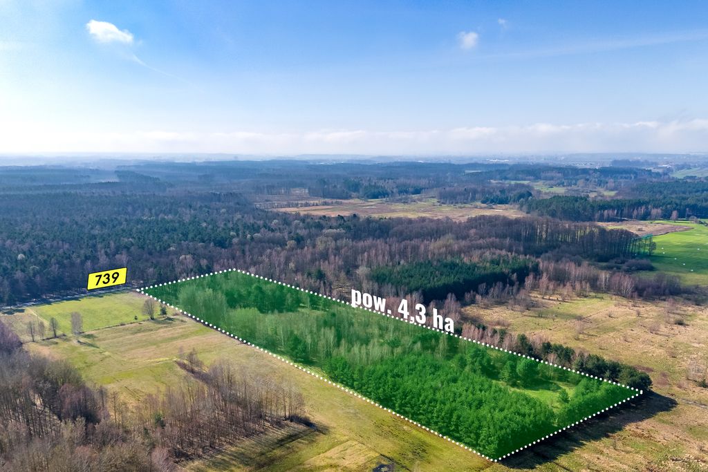 Działka rekreacyjna Sobieńki. Zdjęcie 3