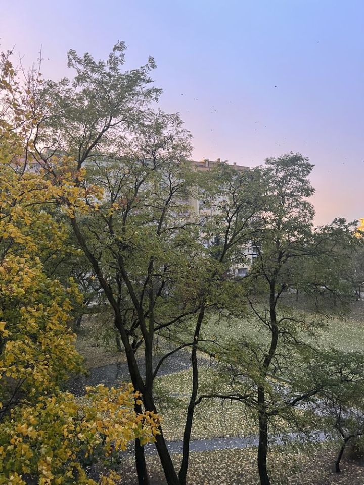 Mieszkanie 2-pokojowe Warszawa Bielany, ul. Dantego. Zdjęcie 4