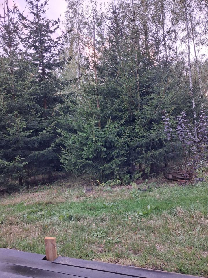 Działka Skrzydlów. Zdjęcie 3