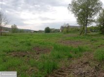 Działka rolna Niwa. Zdjęcie 4