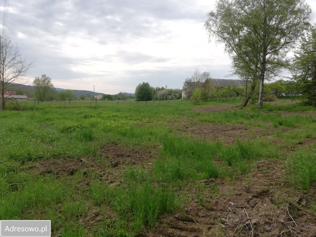 Działka rolna Niwa. Zdjęcie 5