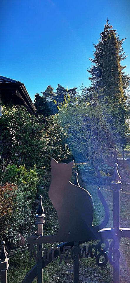 Działka rod Drzewianowo. Zdjęcie 13