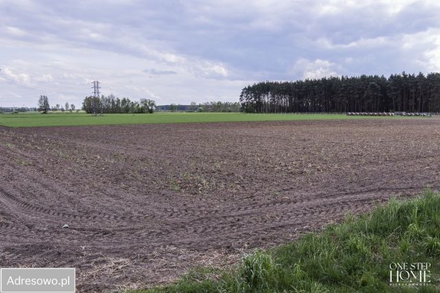 Działka budowlana Gola. Zdjęcie 1