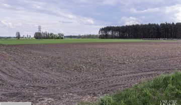 Działka budowlana Gola