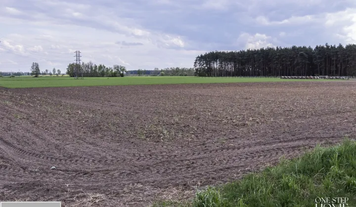 Działka budowlana Gola