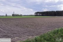 Działka budowlana Gola