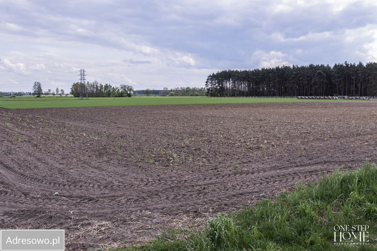 Działka budowlana Gola