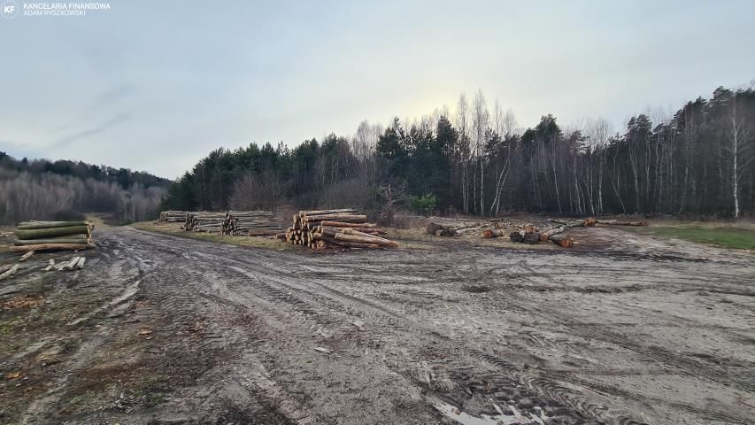 Działka leśna Bondyrz. Zdjęcie 8