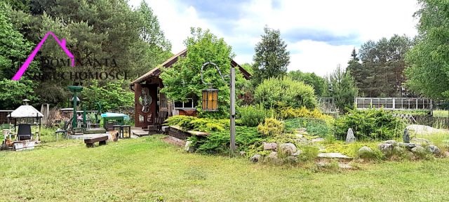 Działka rekreacyjna Śliwice Kocknieja, ul. Sosnowa. Zdjęcie 4