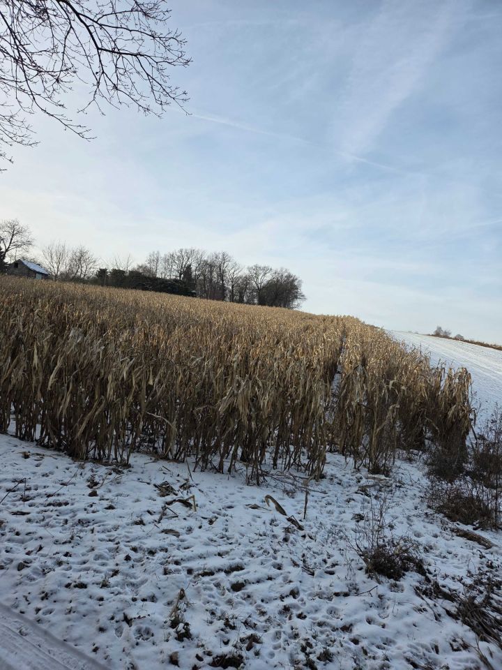 Działka rolno-budowlana Rawałowice. Zdjęcie 4