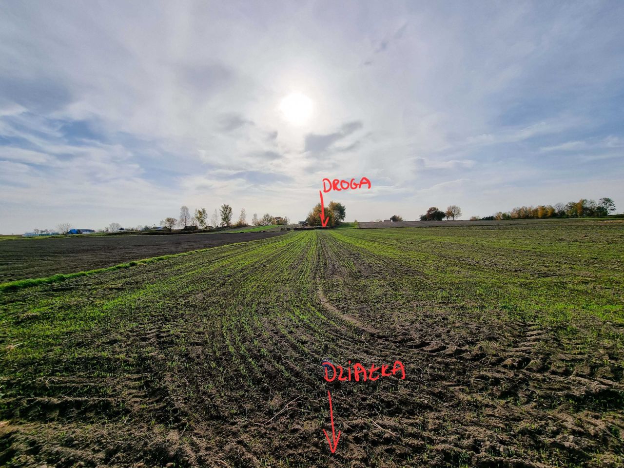 Działka inwestycyjna Morawica. Zdjęcie 6