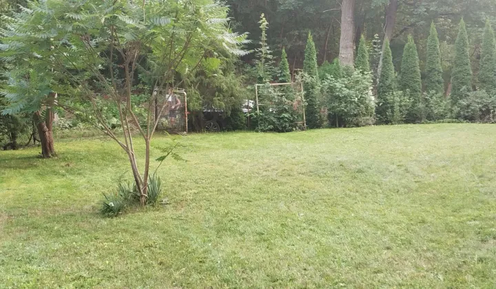 Działka rod Zegrze Południowe, ul. Myśliwska