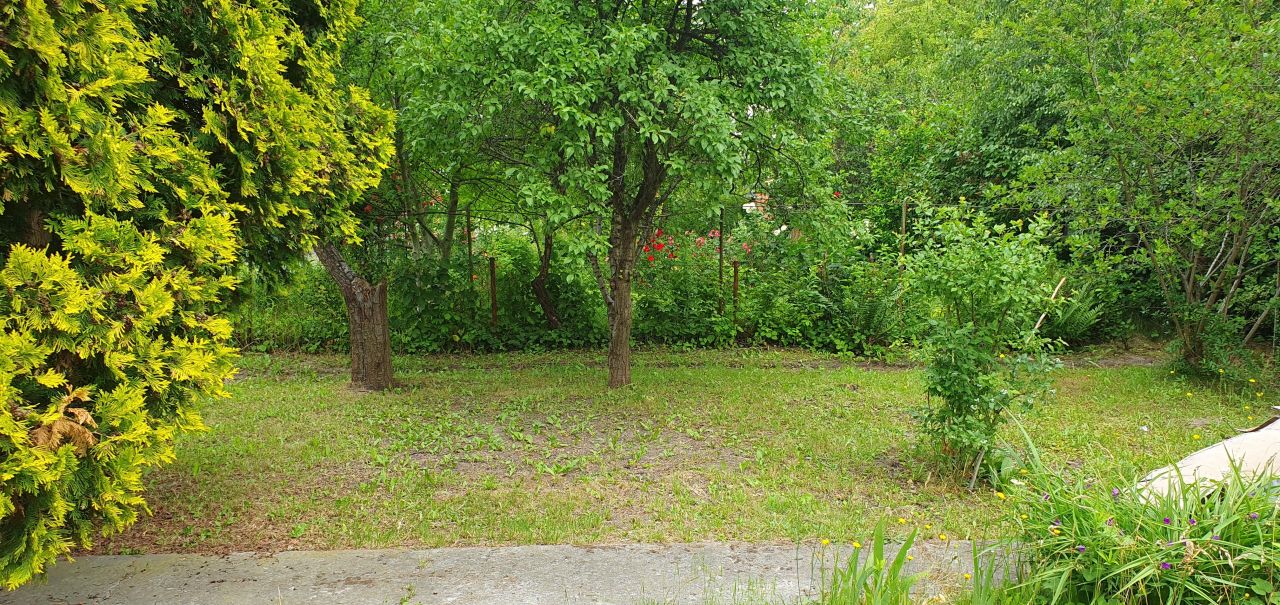 Działka rod Warszawa Mokotów, ul. Wirażowa. Zdjęcie 3