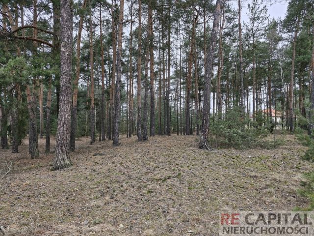 Działka inwestycyjna Adelin. Zdjęcie 4