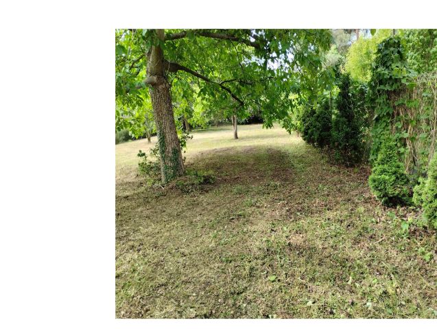 Działka budowlana Milanówek, ul. Lipowa. Zdjęcie 1