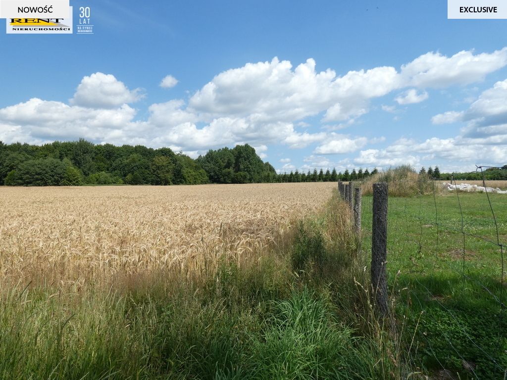 Działka budowlana Dębice. Zdjęcie 4