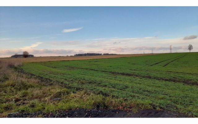 Działka budowlana Lubin, Krzeczyn Wielki. Zdjęcie 2