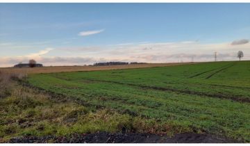 Działka budowlana Krzeczyn Wielki