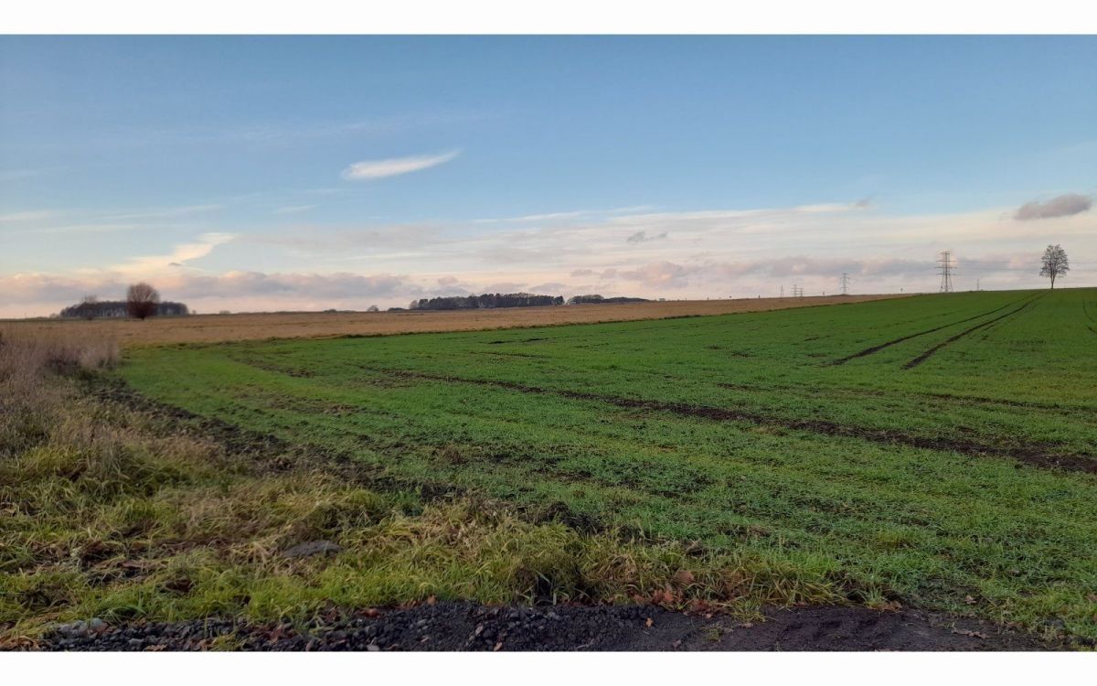 Działka budowlana Lubin, Krzeczyn Wielki. Zdjęcie 2