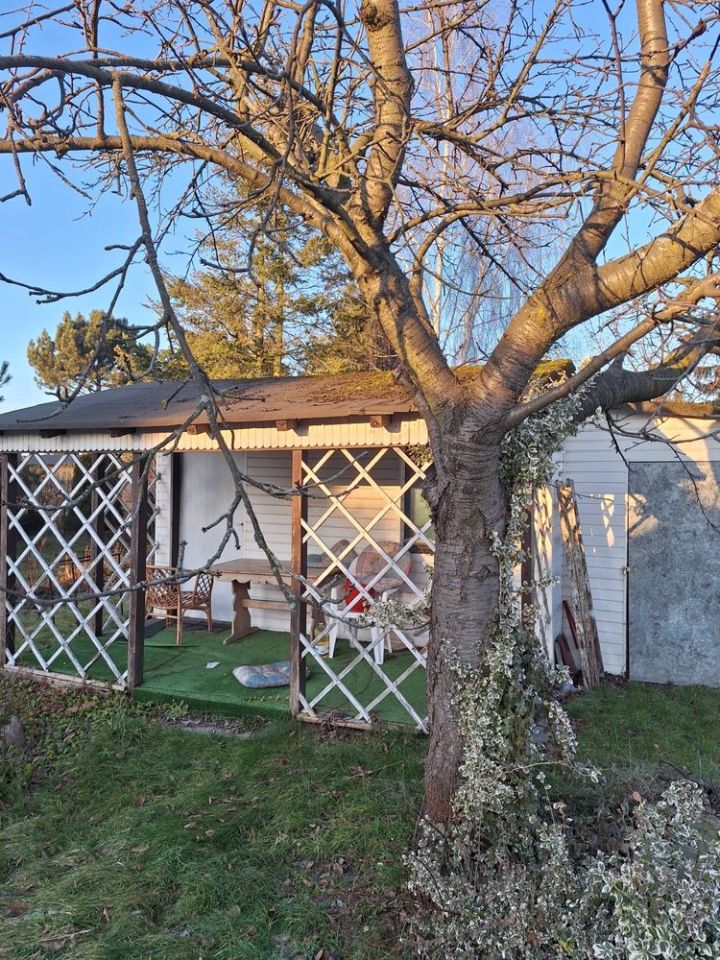 Działka rod Koninko. Zdjęcie 3