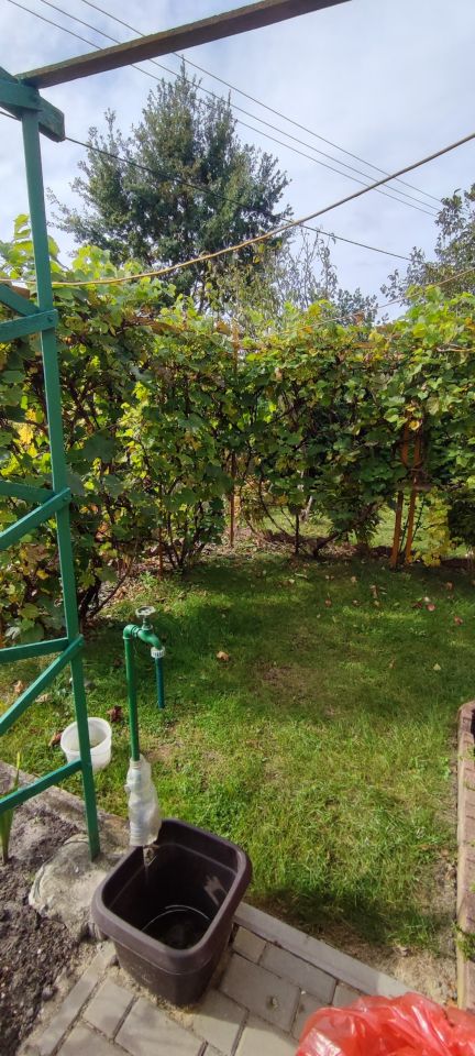 Działka rod Piotrków Trybunalski, ul. Brzeźnicka. Zdjęcie 3