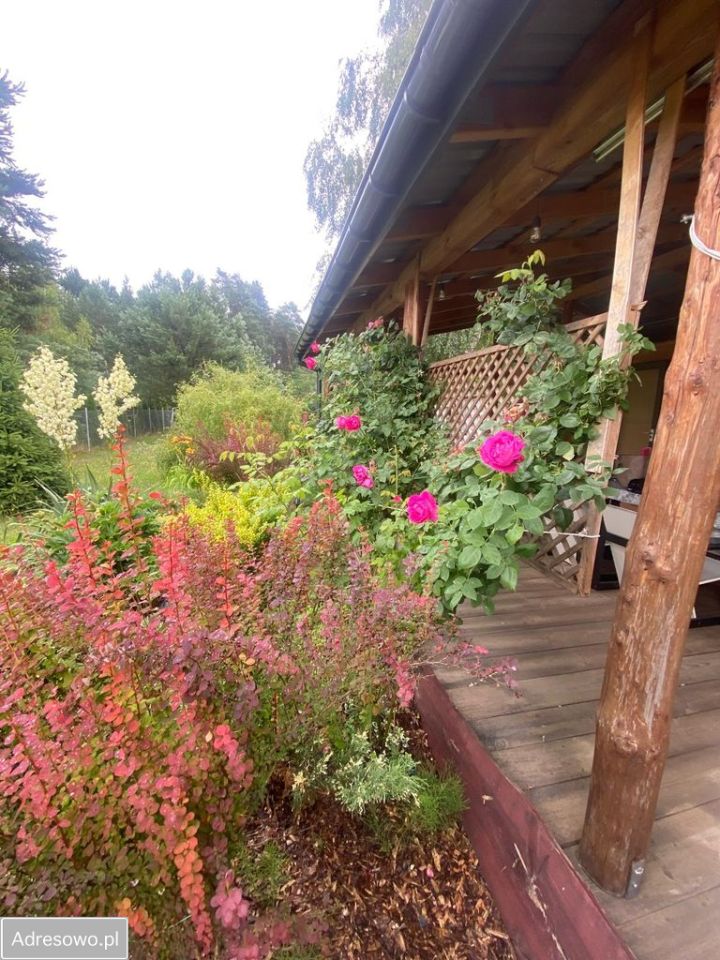 Działka budowlana Tyborów. Zdjęcie 10