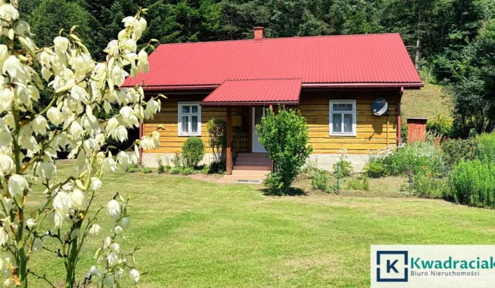 dom wolnostojący, 3 pokoje Wietrzno