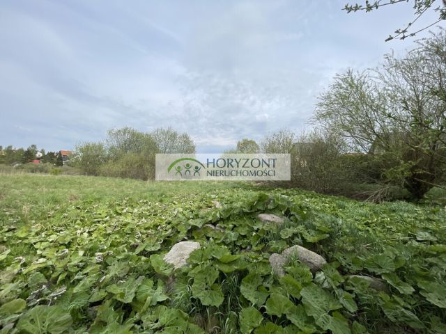 Działka rekreacyjna Żukowo. Zdjęcie 6