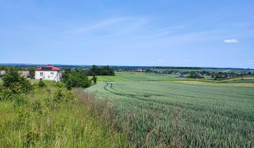 Działka rolna Łabunie, Lipowa