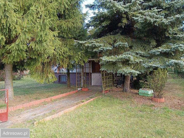 Działka rod Drzewce, ul. Ogrodowa. Zdjęcie 1