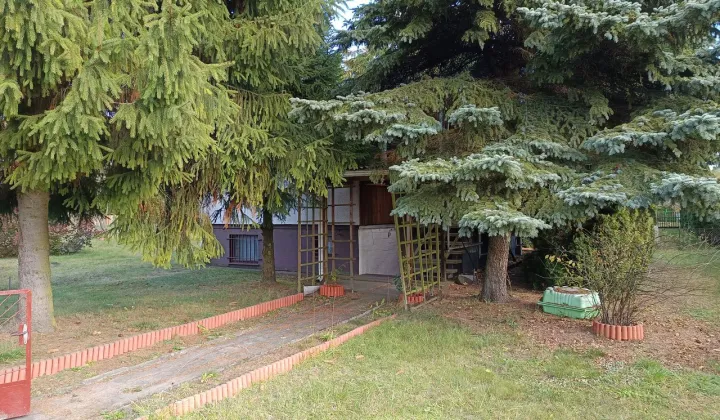 Działka rod Drzewce, ul. Ogrodowa