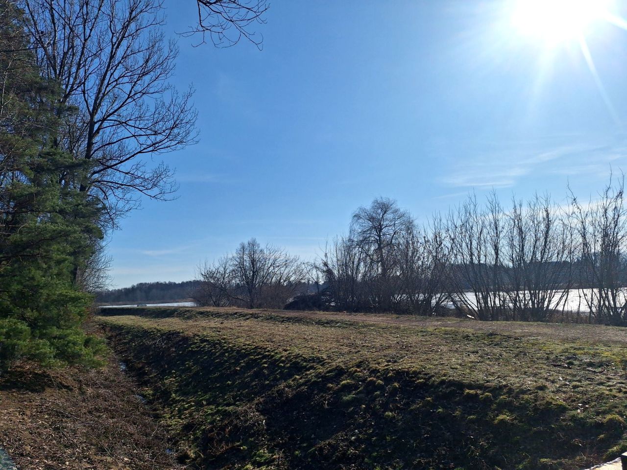 Działka rekreacyjna Stare Załubice, ul. Euzebii. Zdjęcie 10