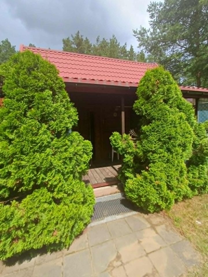 Działka budowlana Waplewo. Zdjęcie 9