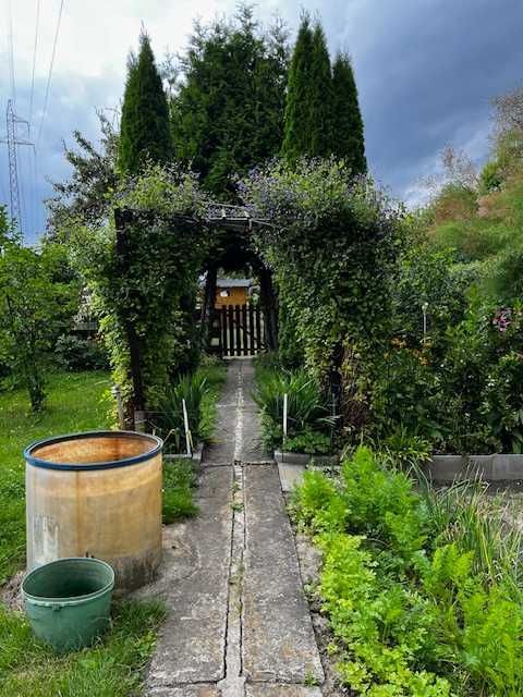 Działka rod Malbork. Zdjęcie 6