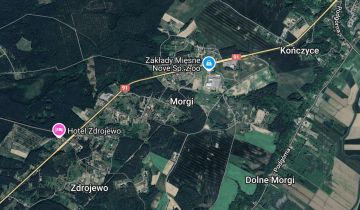 Działka rolna Morgi Dolne Morgi