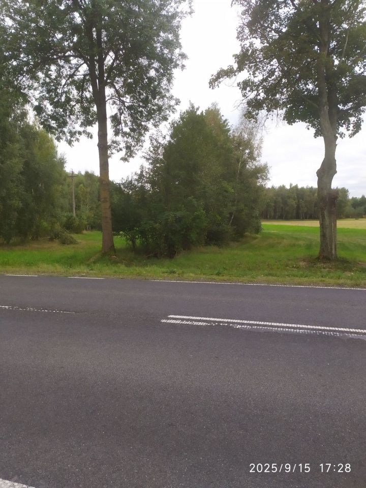 Działka rolna Ościsłowo. Zdjęcie 5