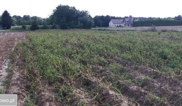 Działka siedliskowa Kozubszczyzna