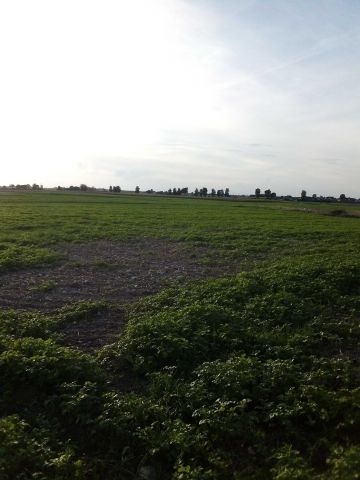 Działka rolno-budowlana Brąchnowo. Zdjęcie 1