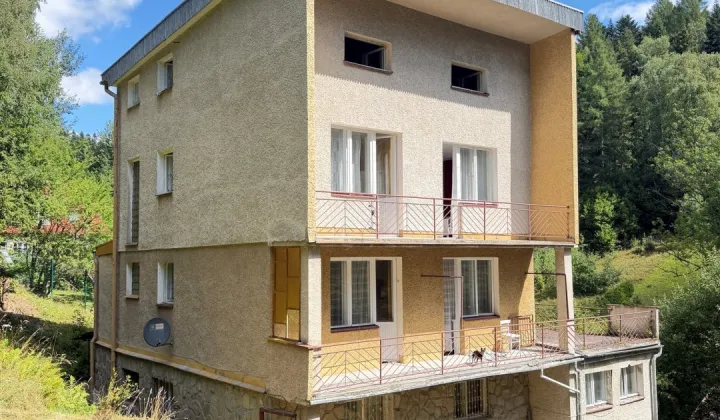 dom wolnostojący, 14 pokoi Krynica-Zdrój, ul. Leśna