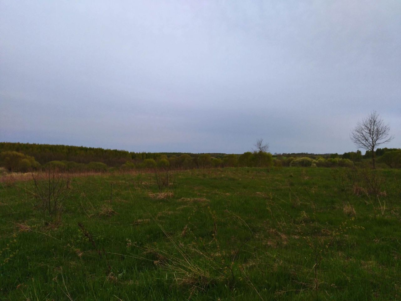 Działka budowlana Lesiska. Zdjęcie 13