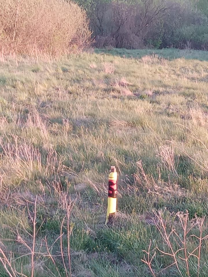 Działka budowlana Ploski. Zdjęcie 9