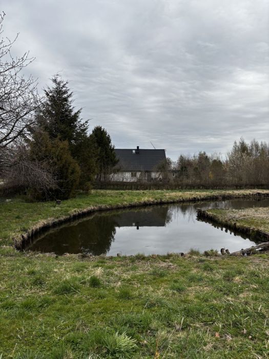 Działka siedliskowa Zdrzewno. Zdjęcie 4