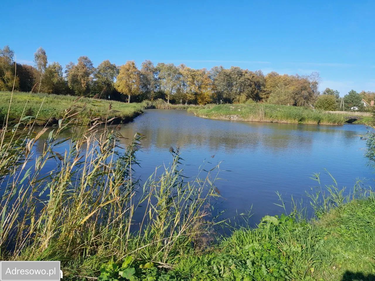 Działka rolno-budowlana Bezledy. Zdjęcie 11