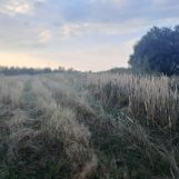 Działka budowlana Pozowice. Zdjęcie 1