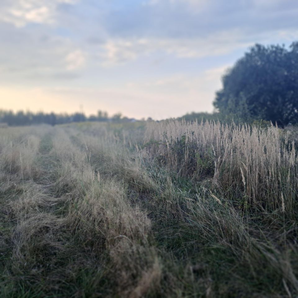 Działka budowlana Pozowice. Zdjęcie 2