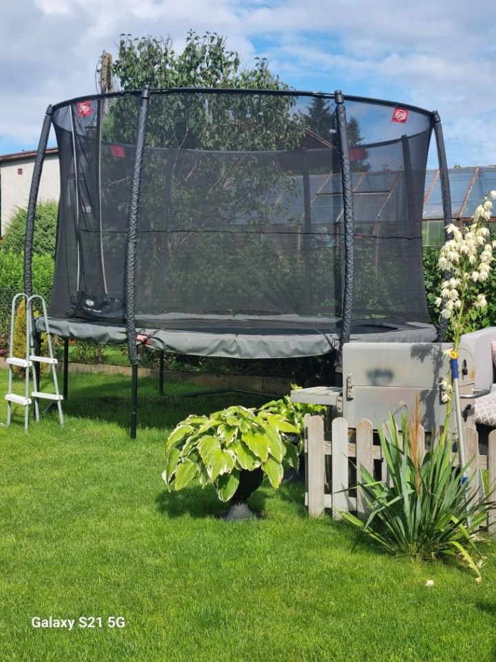 Działka rod Gdańsk Jasień, ul. Źródlana. Zdjęcie 7