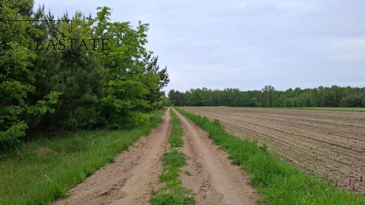 Działka inwestycyjna Myrcha. Zdjęcie 8