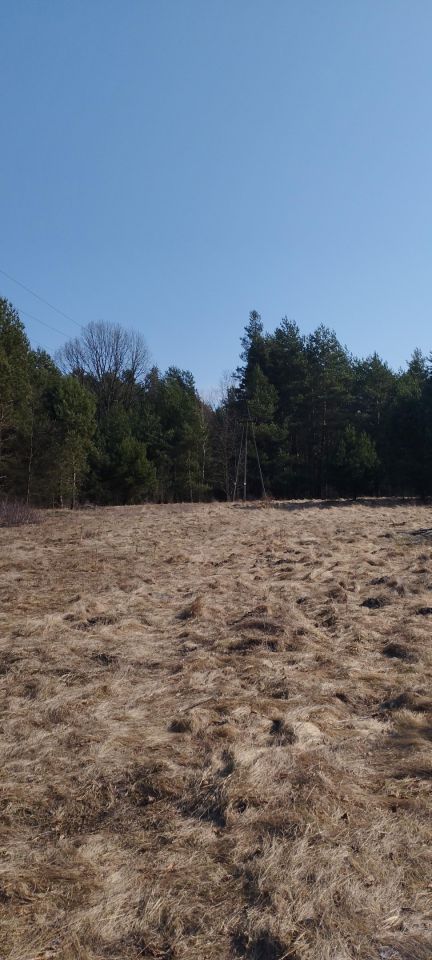 Działka budowlana Stary Grzybów. Zdjęcie 3